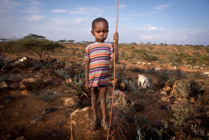 Lchekutis, los niños pastores masai 